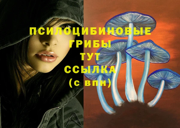 кокаин перу Богородицк