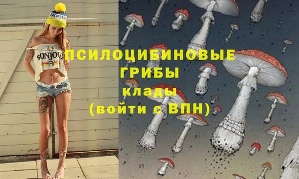 скорость Богданович