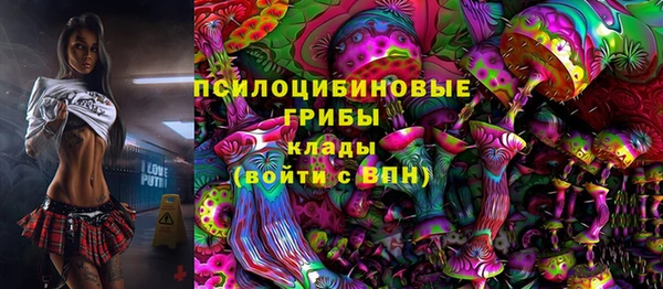 скорость Богданович